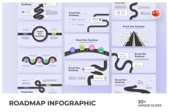 Roadmap Infographic